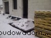 img-20111222-00061